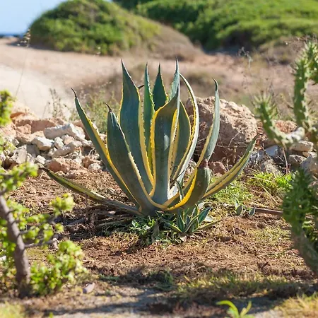 La Perla Di Barla Danae Villa
